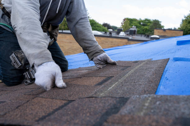Quick and Trustworthy Emergency Roof Repair Services in Westmont, PA